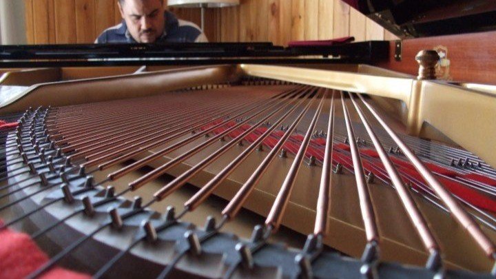 Cuando una frase te desconecta de lo que amas